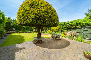 REAR GARDEN- click for photo gallery
